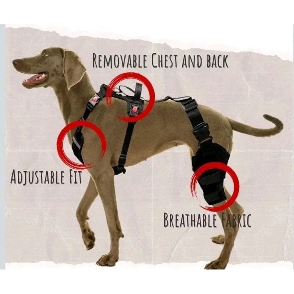 SurfPaws Professional Dog‎ Knee Brace w/ Harness- Large New w/Fast Shipping